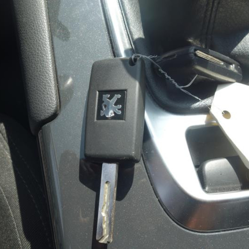 Charniere de hayon PEUGEOT 3008 1 Photo n°8