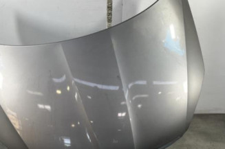 Capot SKODA FABIA 2 Photo n°1
