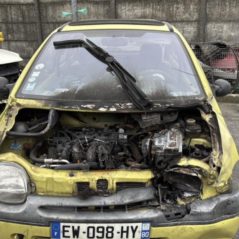 Porte avant gauche RENAULT TWINGO 1 Photo n°12