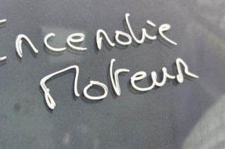 Porte avant gauche RENAULT TWINGO 1