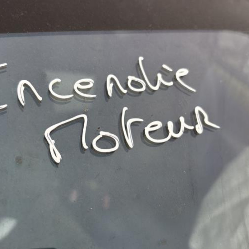 Porte avant gauche RENAULT TWINGO 1 Photo n°13