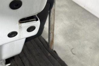 Porte arriere gauche RENAULT MEGANE 2