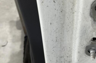 Porte arriere gauche RENAULT MEGANE 2