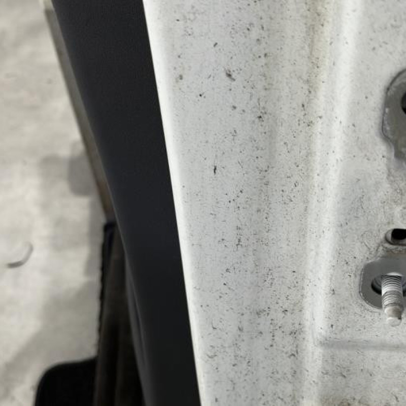 Porte arriere gauche RENAULT MEGANE 2 Photo n°4