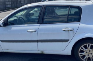 Porte arriere gauche RENAULT MEGANE 2