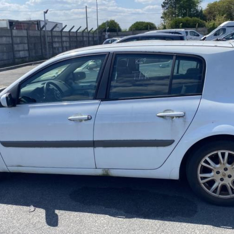 Porte arriere gauche RENAULT MEGANE 2 Photo n°12