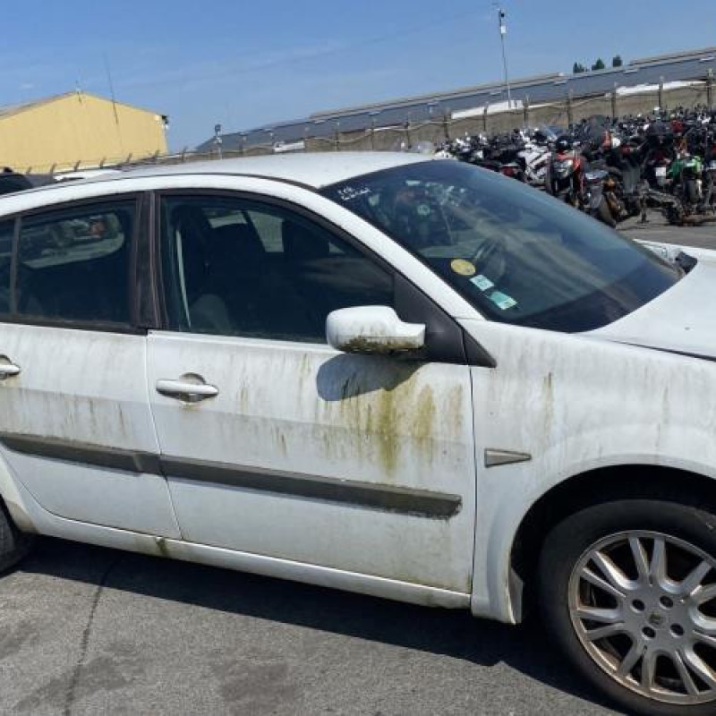 Porte arriere gauche RENAULT MEGANE 2 Photo n°13