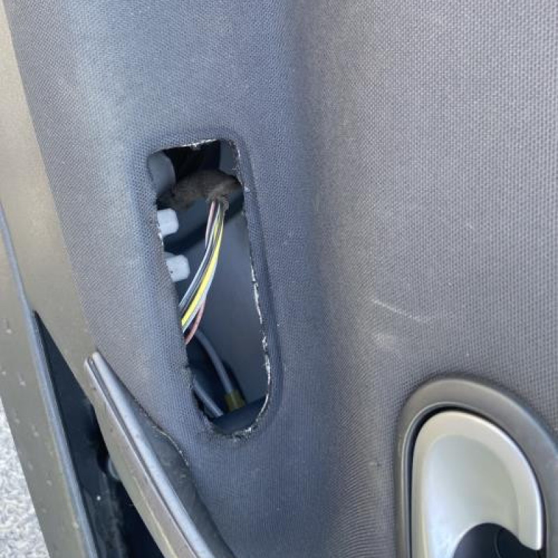 Porte arriere gauche RENAULT MEGANE 2 Photo n°16