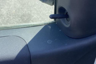 Porte arriere gauche RENAULT MEGANE 2