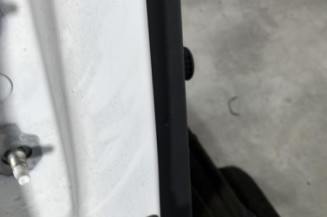 Porte arriere droit RENAULT CLIO 4