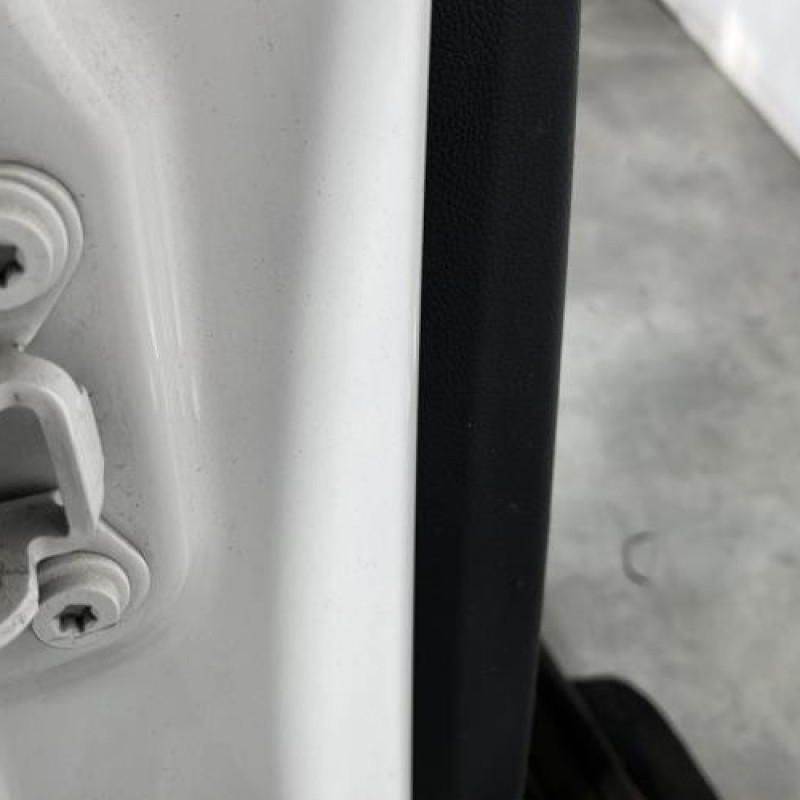 Porte arriere droit SKODA FABIA 2 Photo n°4