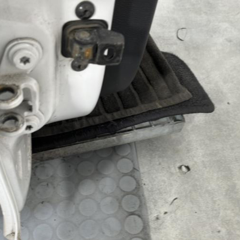 Porte arriere droit SKODA FABIA 2 Photo n°5