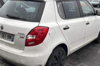 Porte arriere droit SKODA FABIA 2