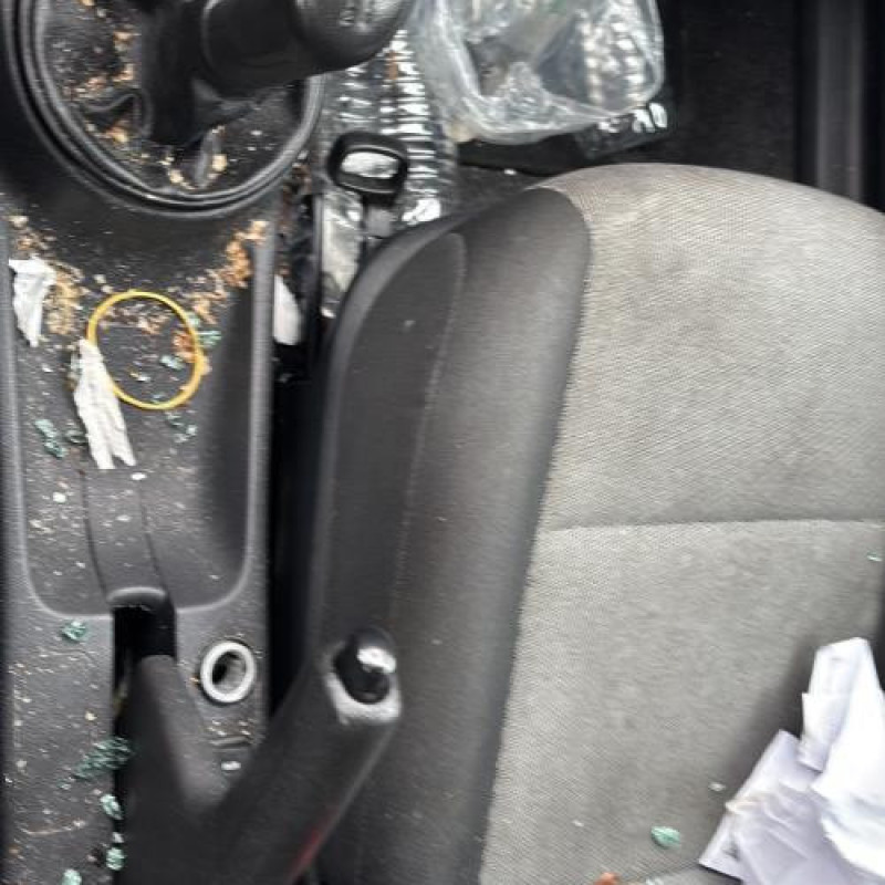 Porte arriere droit SKODA FABIA 2 Photo n°18