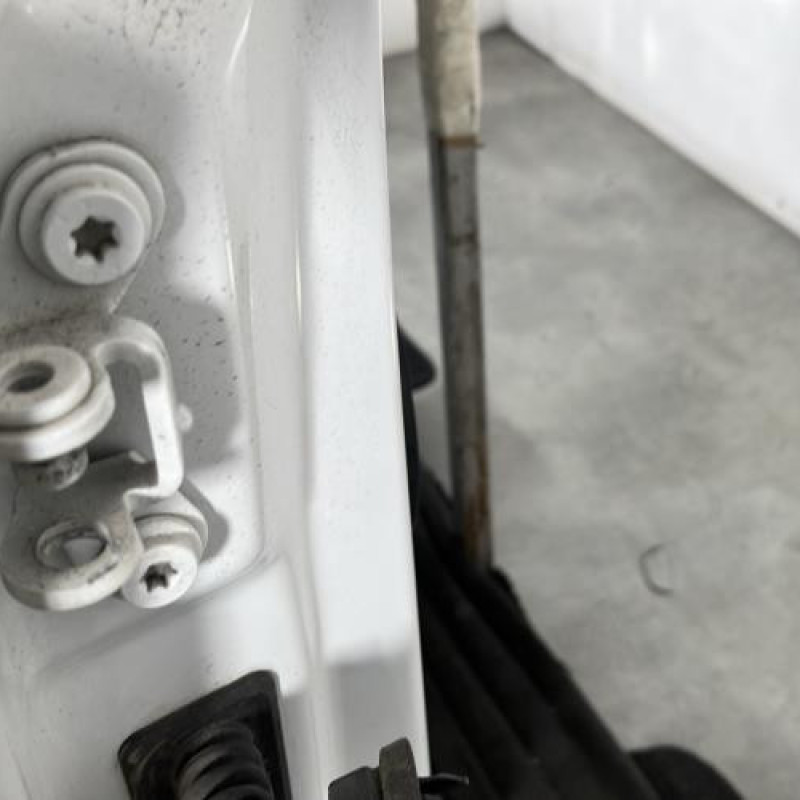 Porte avant droit SKODA FABIA 2 Photo n°4