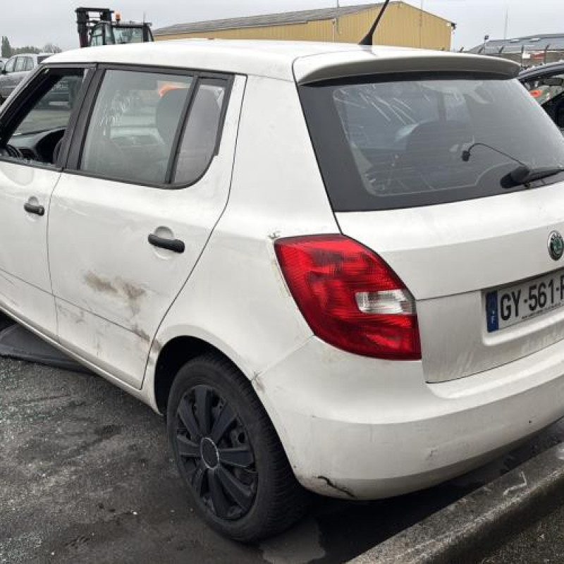 Porte avant droit SKODA FABIA 2 Photo n°10