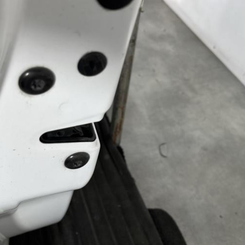 Porte avant gauche SKODA FABIA 2 Photo n°3