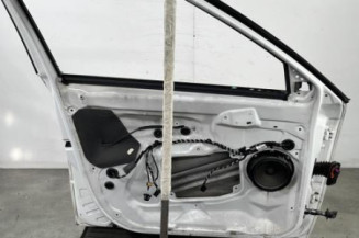 Porte avant gauche SKODA FABIA 2