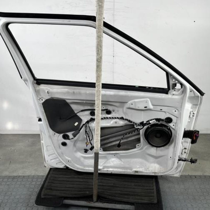 Porte avant gauche SKODA FABIA 2 Photo n°6