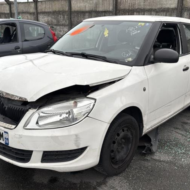 Porte avant gauche SKODA FABIA 2 Photo n°7