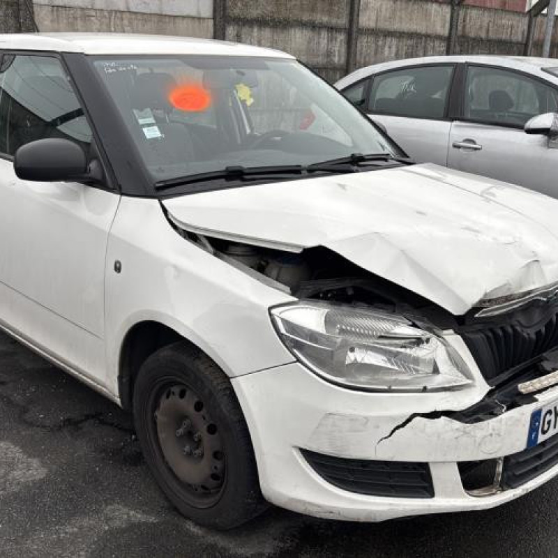 Porte avant gauche SKODA FABIA 2 Photo n°8