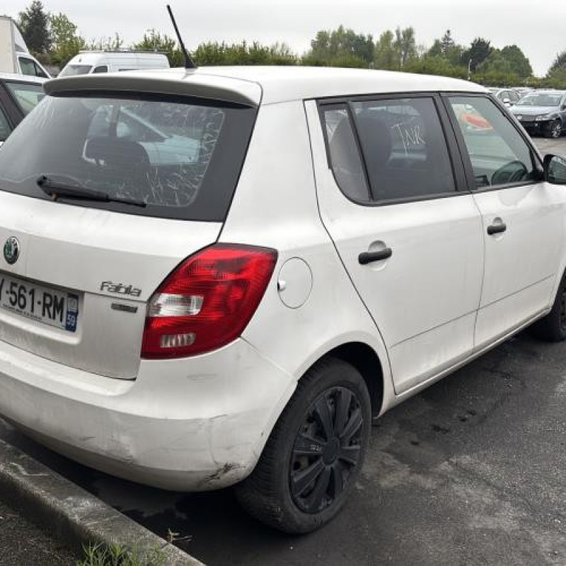 Porte avant gauche SKODA FABIA 2 Photo n°9