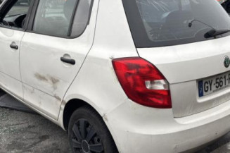 Porte avant gauche SKODA FABIA 2