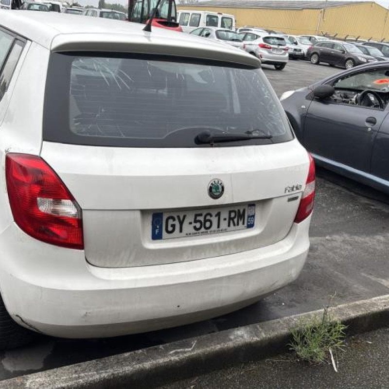 Porte avant gauche SKODA FABIA 2 Photo n°11