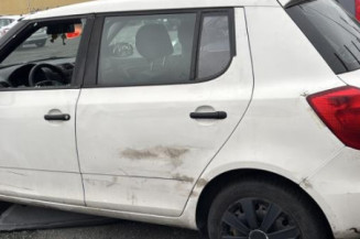 Porte avant gauche SKODA FABIA 2