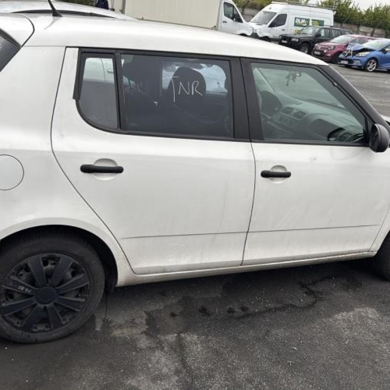 Porte avant gauche SKODA FABIA 2 Photo n°13