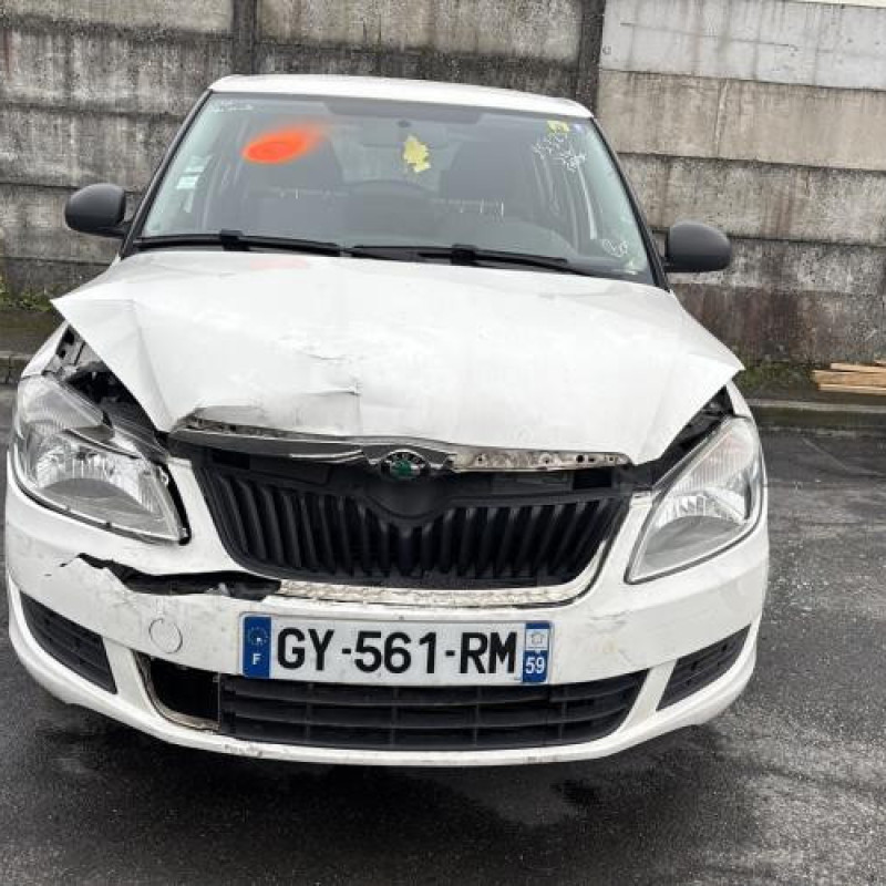 Porte avant gauche SKODA FABIA 2 Photo n°14