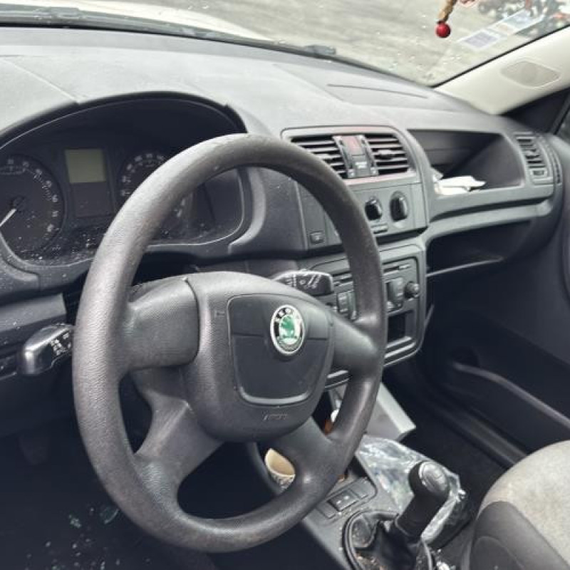 Porte avant gauche SKODA FABIA 2 Photo n°15