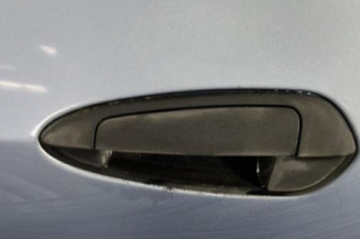 Porte arriere gauche FIAT GRANDE PUNTO