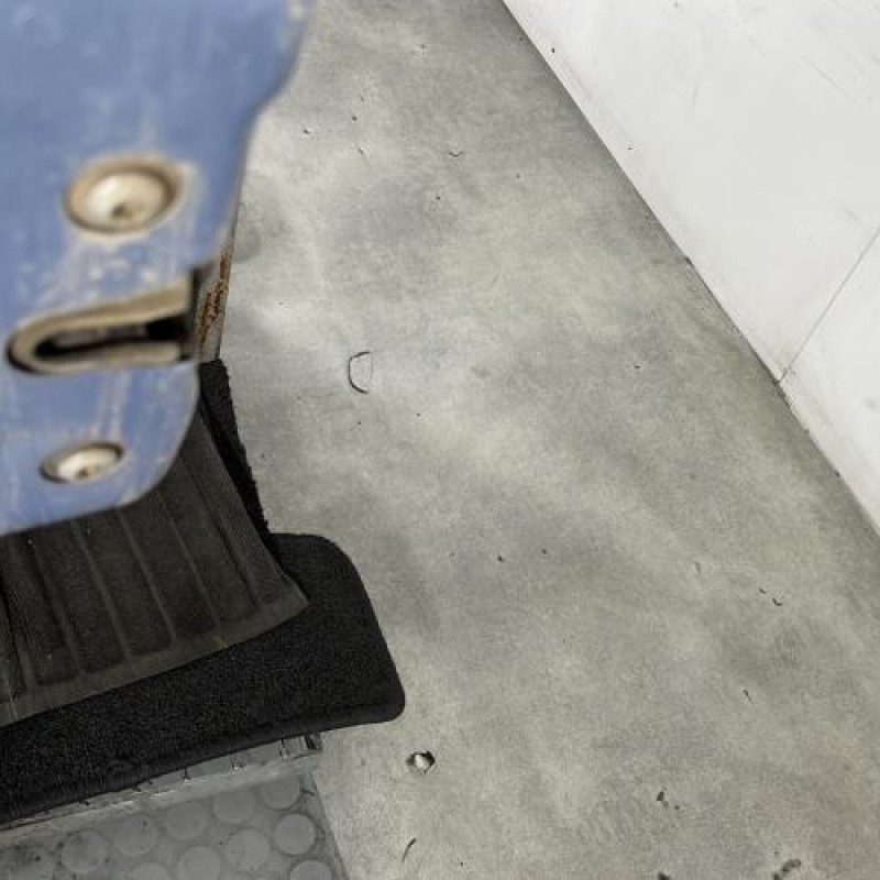 Porte arriere gauche FIAT GRANDE PUNTO Photo n°4