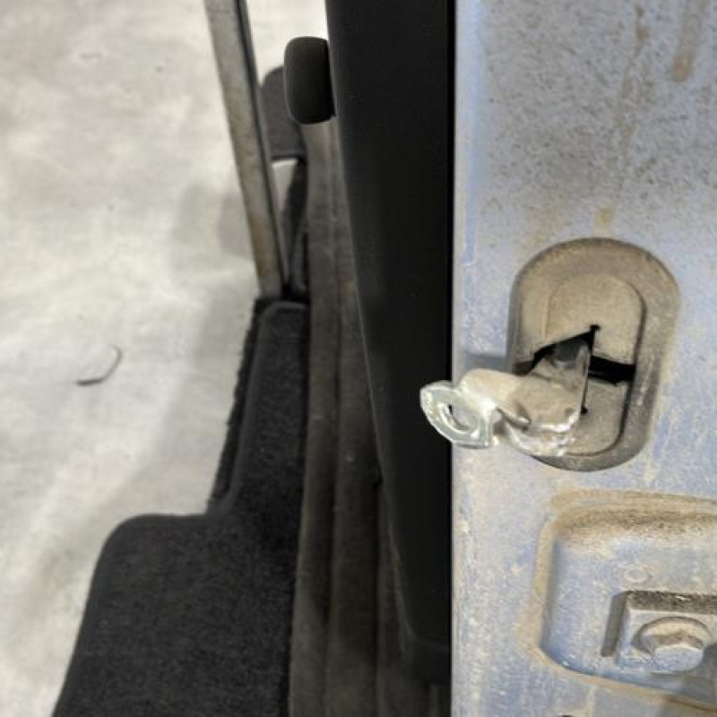 Porte arriere gauche FIAT GRANDE PUNTO Photo n°6