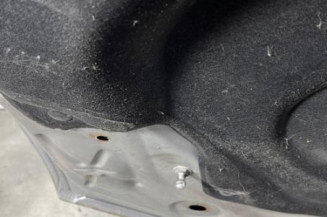 Capot DACIA SANDERO 2