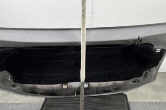 Capot DACIA SANDERO 2