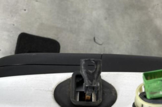 Porte arriere gauche CITROEN DS4