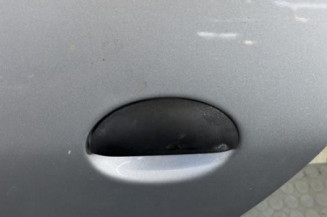 Porte arriere gauche PEUGEOT 206