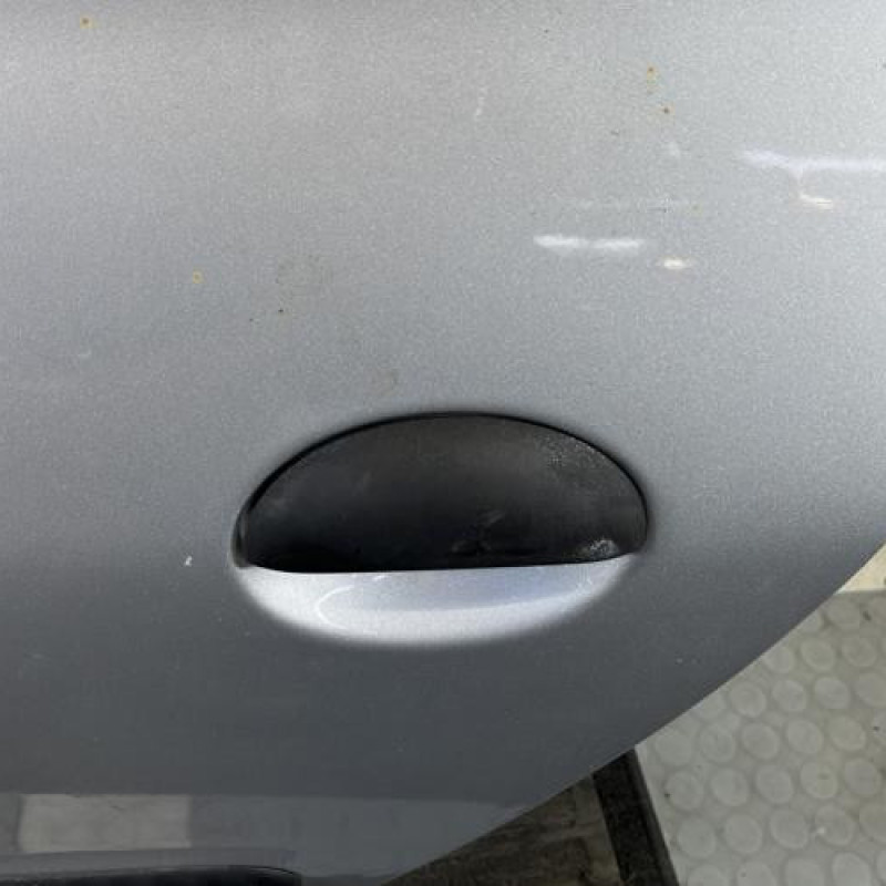 Porte arriere gauche PEUGEOT 206 Photo n°2