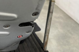 Porte arriere gauche PEUGEOT 206