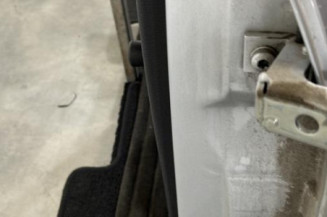 Porte arriere gauche PEUGEOT 206