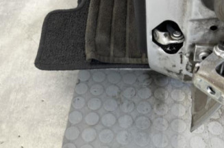Porte arriere gauche PEUGEOT 206