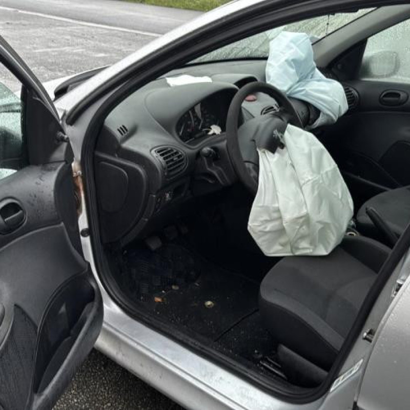 Porte avant droit PEUGEOT 206 Photo n°9