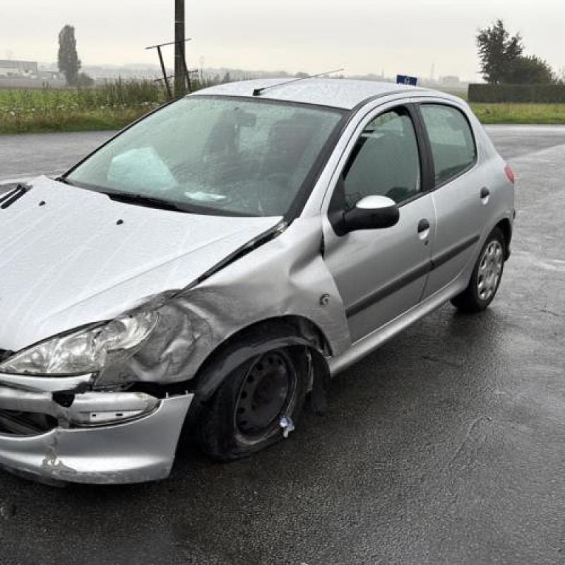 Porte avant droit PEUGEOT 206 Photo n°12