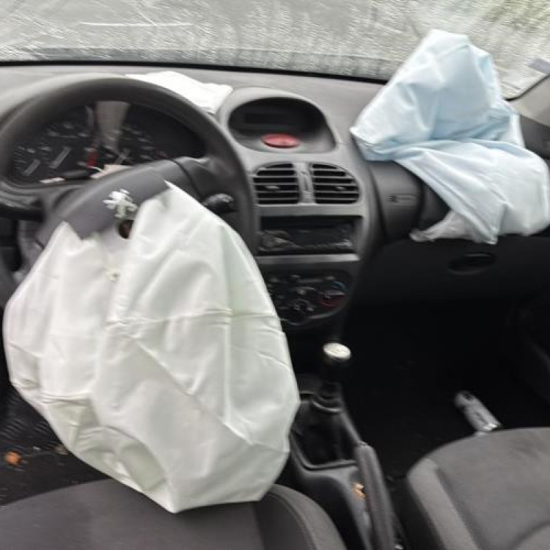 Porte avant droit PEUGEOT 206 Photo n°19