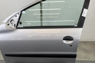 Porte avant gauche PEUGEOT 206 Photo n°1