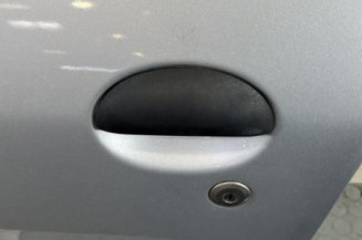 Porte avant gauche PEUGEOT 206