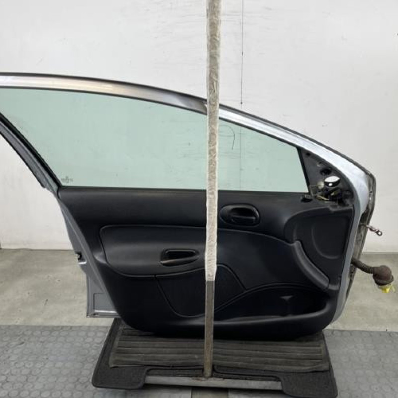 Porte avant gauche PEUGEOT 206 Photo n°6