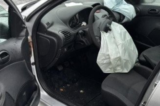 Porte avant gauche PEUGEOT 206